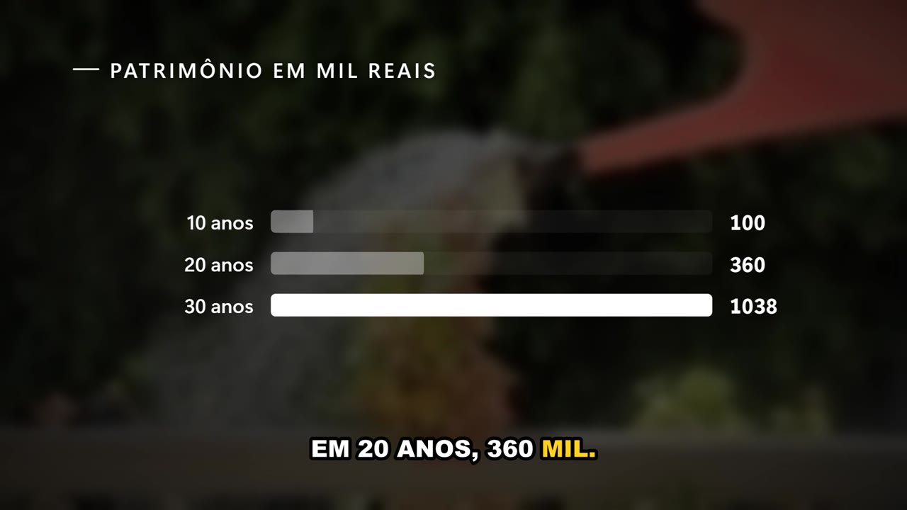 Gráfico de barras do patrimônio em 10, 20 e 30 anos